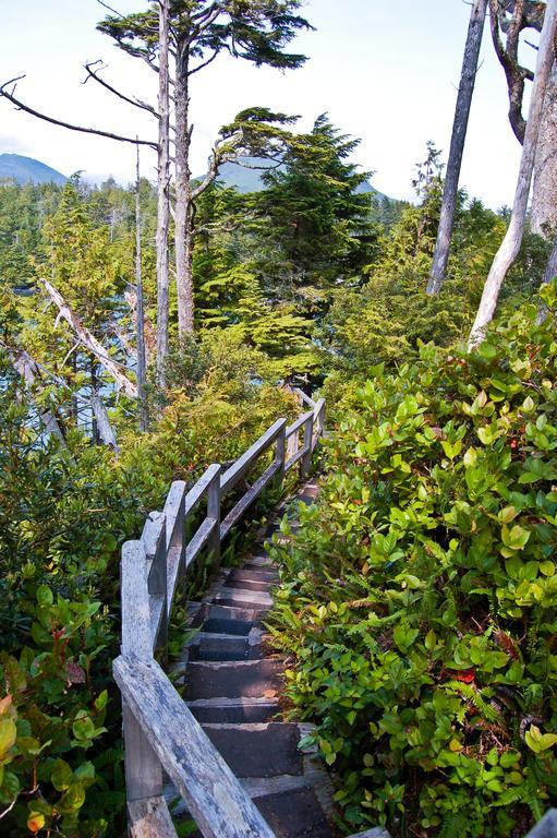 Wild Pacific Guest Suites Ucluelet Buitenkant foto