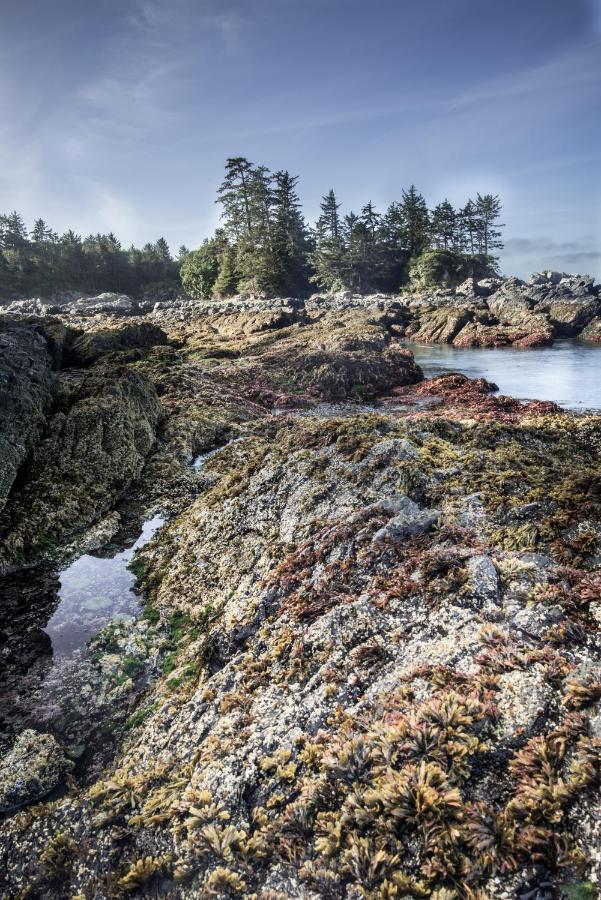Wild Pacific Guest Suites Ucluelet Buitenkant foto